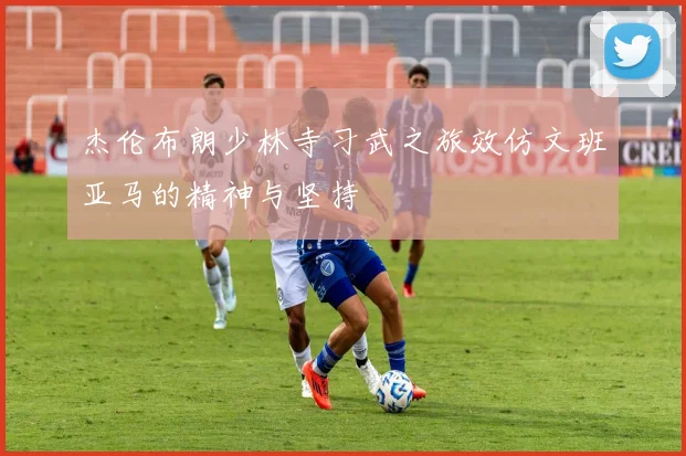 杰伦布朗少林寺习武之旅效仿文班亚马的精神与坚持
