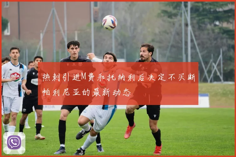 热刺引进M费和托纳利后决定不买断帕利尼亚的最新动态